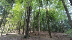 Jaworze-Zagnańsk-10
