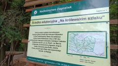 Jaworze-Zagnańsk-14