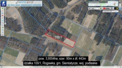 rogawka-orto.1.obrys_